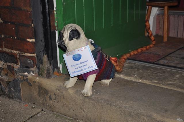 min 2013 11 16 rye 025